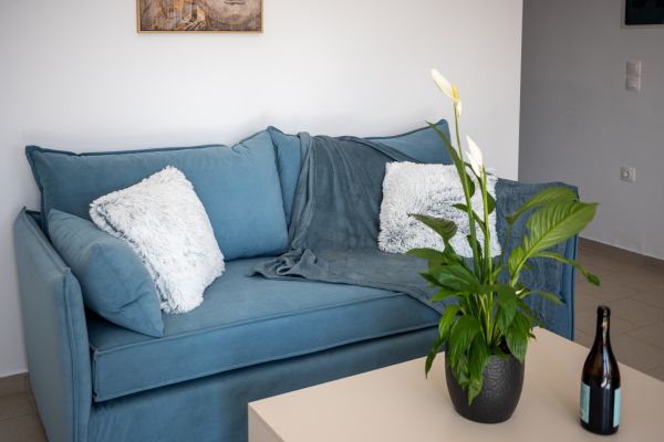 gallery-photo